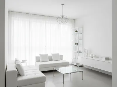 White Minimalist interior design example